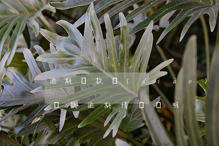 逾期貸款調(diào)查的情況說明(銀行貸款逾期情況說明)