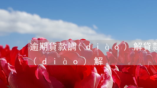 逾期貸款調(diào)解(貸款逾期法院調(diào)解)