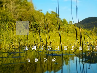 逾期貸款財富多會怎樣(逾期太多了,怎么才能借到貸款)