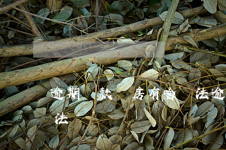 逾期貸款買房有啥辦法(逾期貸款買房有啥辦法)