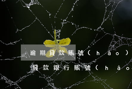 逾期貸款賬號(hào)被凍結(jié)(貸款銀行賬號(hào)錯(cuò)誤會(huì)凍結(jié)嗎)
