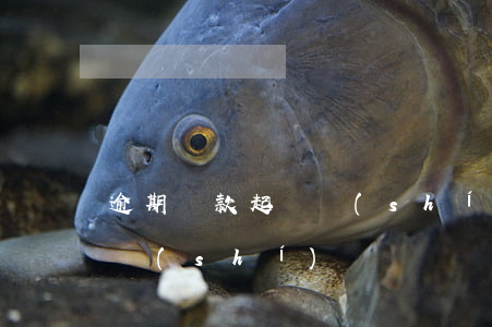逾期貸款起訴時(shí)間（逾期貸款起訴時(shí)間）