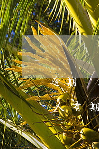 逾期貸款起訴的條件 逾期貸款銀行起訴貸款人有期限嗎