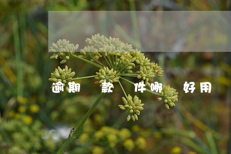 逾期貸款軟件哪個好用