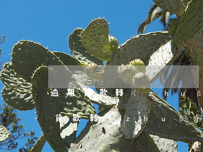 逾期貸款轉(zhuǎn)為呆滯貸款(逾期貸款轉(zhuǎn)為呆滯貸款)