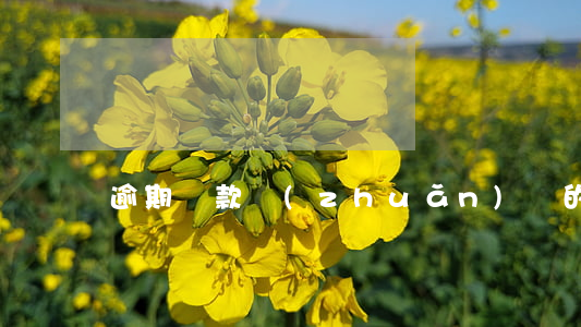 逾期貸款轉(zhuǎn)貸的理由