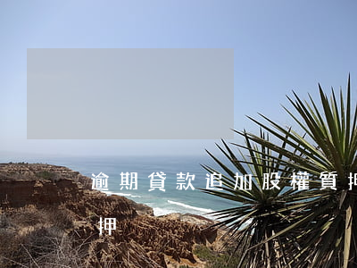 逾期貸款追加股權質押(逾期貸款追加股權質押)