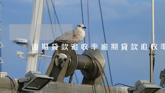 逾期貸款追收率 逾期貸款追收率怎么計算