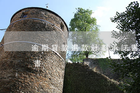 逾期貸款還款計劃承諾書(貸款逾期還款保證書)