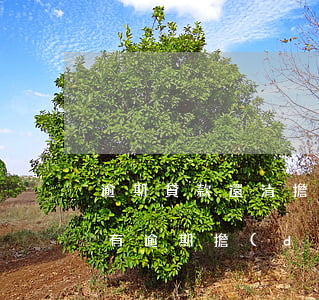 逾期貸款還清擔(dān)保人征信(借款人有逾期擔(dān)保人征信上顯示嗎?)