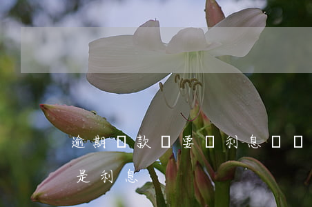 逾期貸款還要還利息嗎(貸款逾期先還本金還是利息)