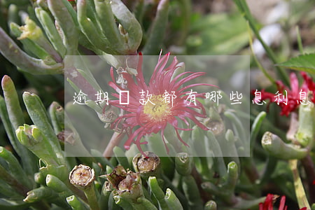 逾期貸款都有哪些息(利息逾期算逾期貸款嗎)