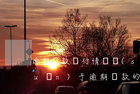 逾期貸款銀行情況說(shuō)明(關(guān)于逾期還款的情況說(shuō)明)