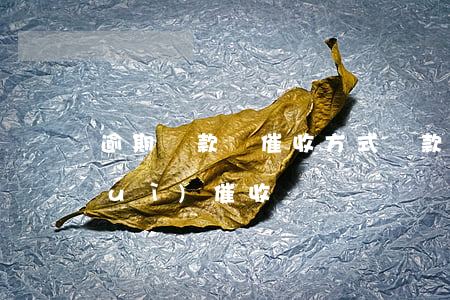 逾期貸款電催收方式(貸款逾期如何面對(duì)催收)