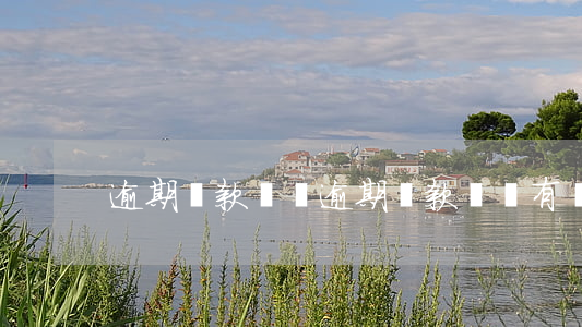 逾期貸款類別 逾期貸款類別有幾種