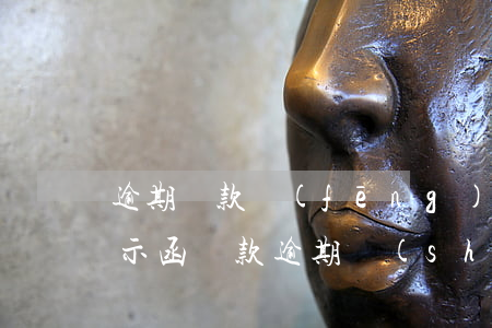逾期貸款風(fēng)險(xiǎn)提示函(貸款逾期說(shuō)明)