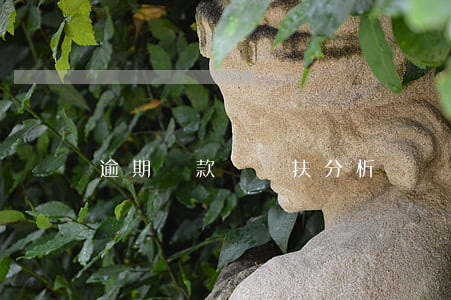 逾期貸款風險扶分析
