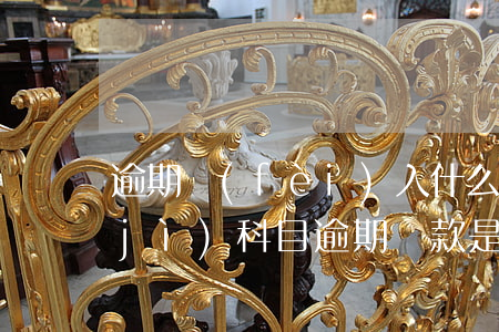 逾期費(fèi)入什么會(huì)計(jì)科目(逾期貸款是什么會(huì)計(jì)科目)