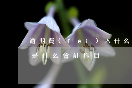 逾期費(fèi)入什么會計科目(逾期貸款是什么會計科目)