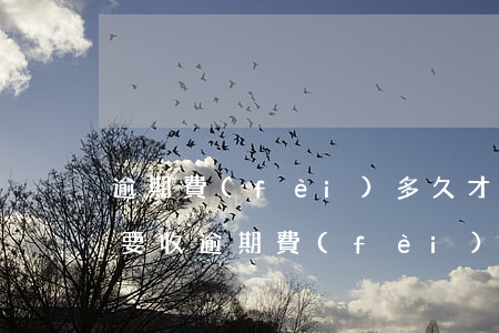 逾期費(fèi)多久才可以起訴(逾期多久要收逾期費(fèi))