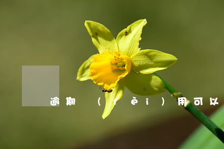 逾期費(fèi)用可以嗎