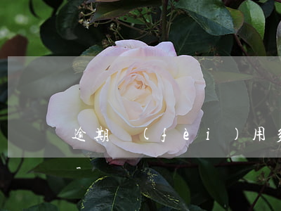 逾期費(fèi)用多出很多可以不用還嗎-