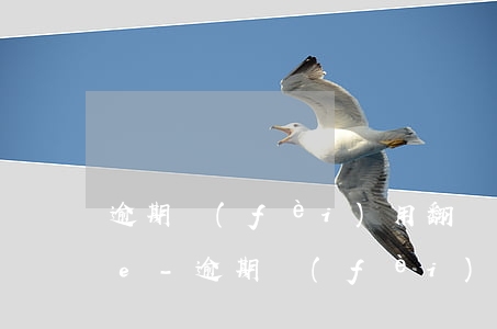 逾期費(fèi)用翻譯成overtime-逾期費(fèi)用英語