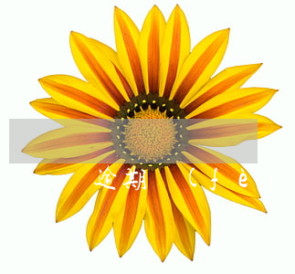 逾期費(fèi)超過(guò)本金
