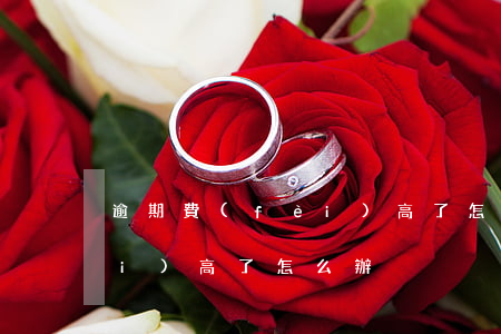 逾期費(fèi)高了怎么辦 逾期費(fèi)高了怎么辦