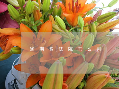 逾期費法院怎么判