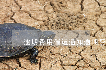 逾期費用催還通知（逾期費用催還通知）