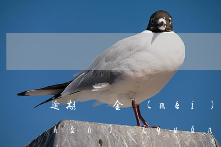 逾期賠償金沒(méi)交移交法院(產(chǎn)權(quán)逾期辦理賠償)