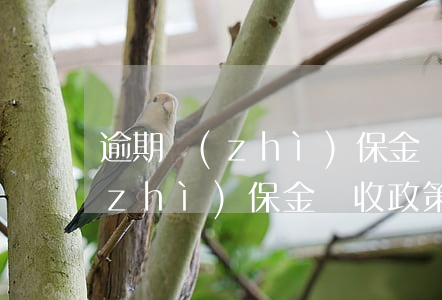 逾期質(zhì)保金稅收政策-逾期質(zhì)保金稅收政策規(guī)定