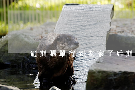 逾期賬單寄到老家了后期會(huì)怎樣-