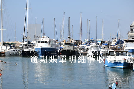 逾期賬單明細催收有嗎(逾期貸款催收臺賬)