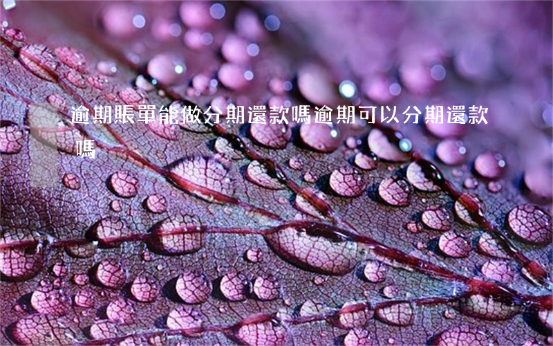 逾期賬單能做分期還款嗎(逾期可以分期還款嗎)