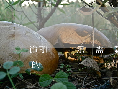 逾期賬單顯示無需還款(您的賬戶有逾期未還的賬單)