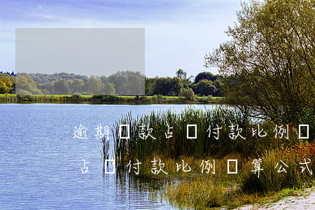 逾期賬款占應付款比例計算公式-逾期賬款占應付款比例計算公式是什么