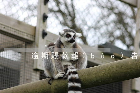 逾期賬款報(bào)告