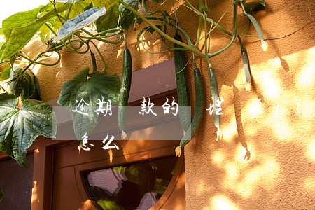 逾期賬款的處理(應(yīng)收款項逾期怎么辦)