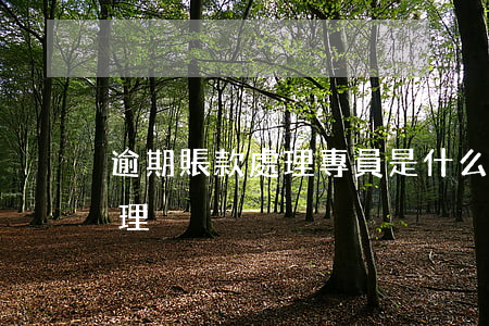 逾期賬款處理專員是什么-逾期賬款催收管理