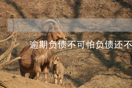 逾期负债不可怕(负债还不上要逾期)