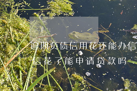 逾期负债信用花还能办信用卡吗-有逾期征信花了能申请贷款吗