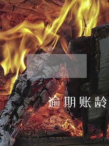 逾期账龄区间(逾期账龄区间和报警级别)