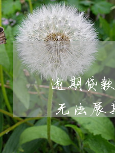 逾期贷款不能展期的法律依据，探讨逾期贷款无法展期的法律依据