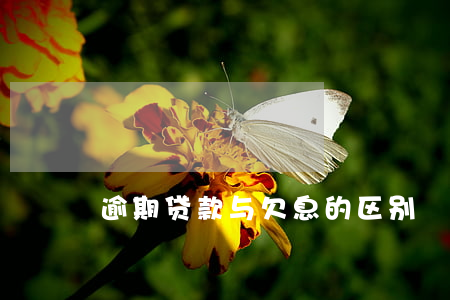 逾期贷款与欠息的区别