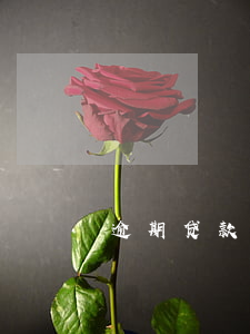 逾期贷款与银行协商(房贷逾期银行拒绝协商)