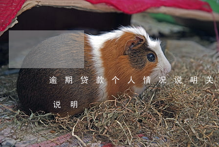 逾期贷款个人情况说明(关于逾期还款的情况说明)