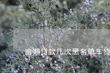 逾期贷款几次黑名单(车贷逾期几次上黑名单)