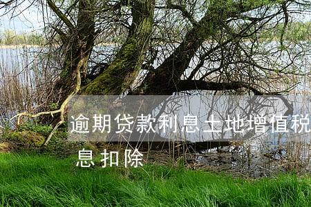 逾期贷款利息土地增值税(土地增值税贷款利息扣除)